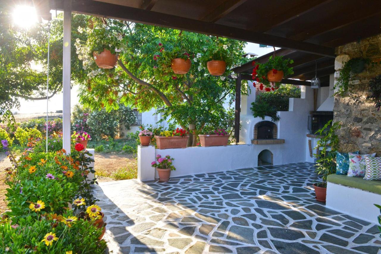 Ktima Dimitrios Villa Naxos City Exterior foto