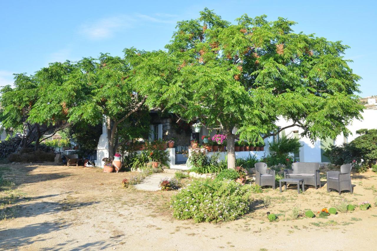 Ktima Dimitrios Villa Naxos City Exterior foto