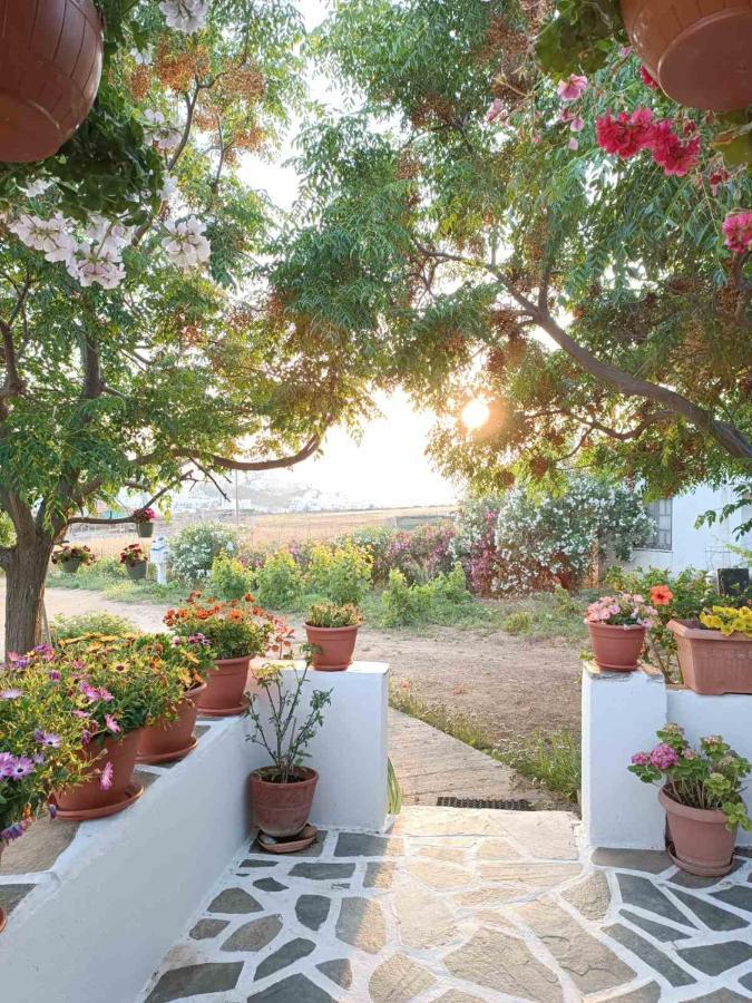 Ktima Dimitrios Villa Naxos City Exterior foto