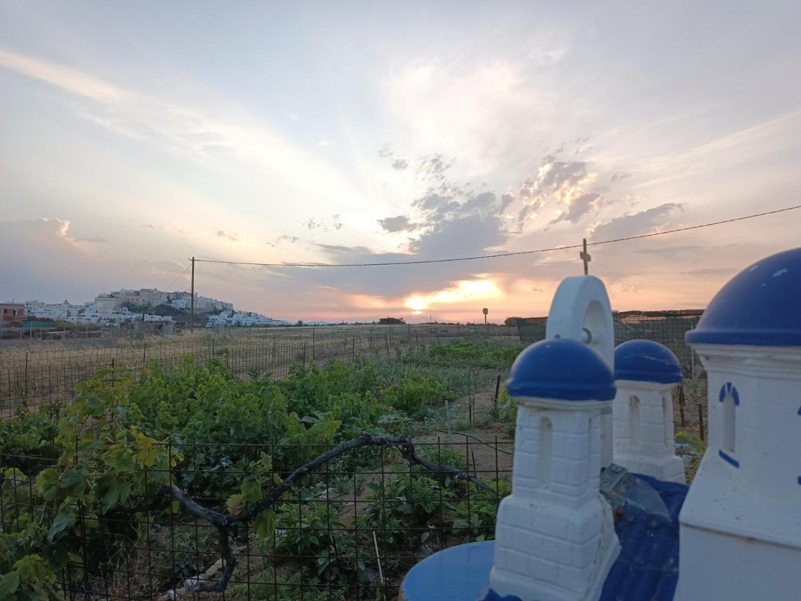 Ktima Dimitrios Villa Naxos City Exterior foto